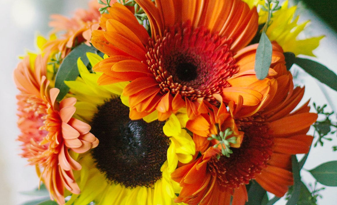 Special Events Wood's Floral & Gifts